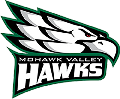 Link to the Mohawk Valley Community College Region III Webpage
