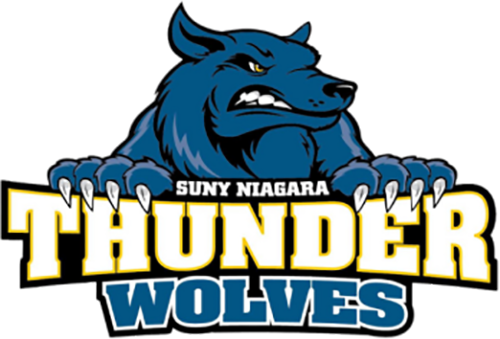 Link to the SUNY Niagara Region III Webpage